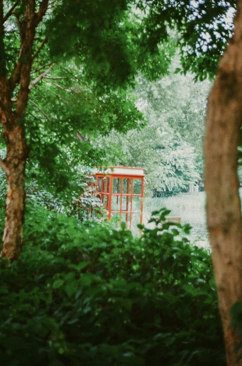 Yashica Electro 35, Kodak Color Plus 200