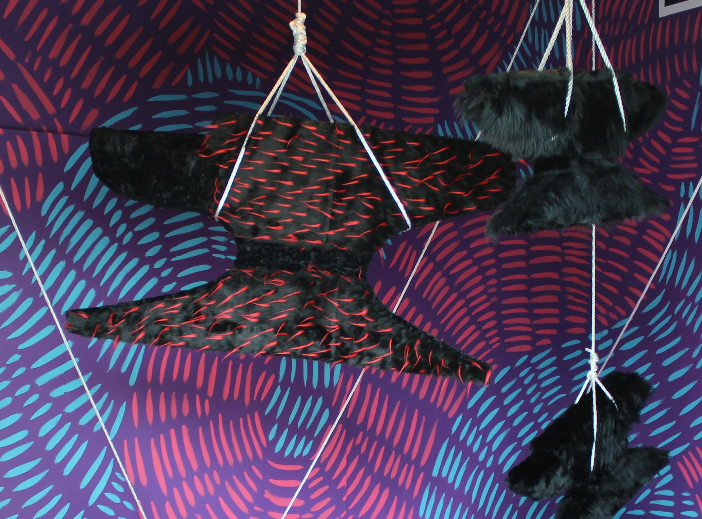 Lytle_suspended animation_tfac_2.JPG