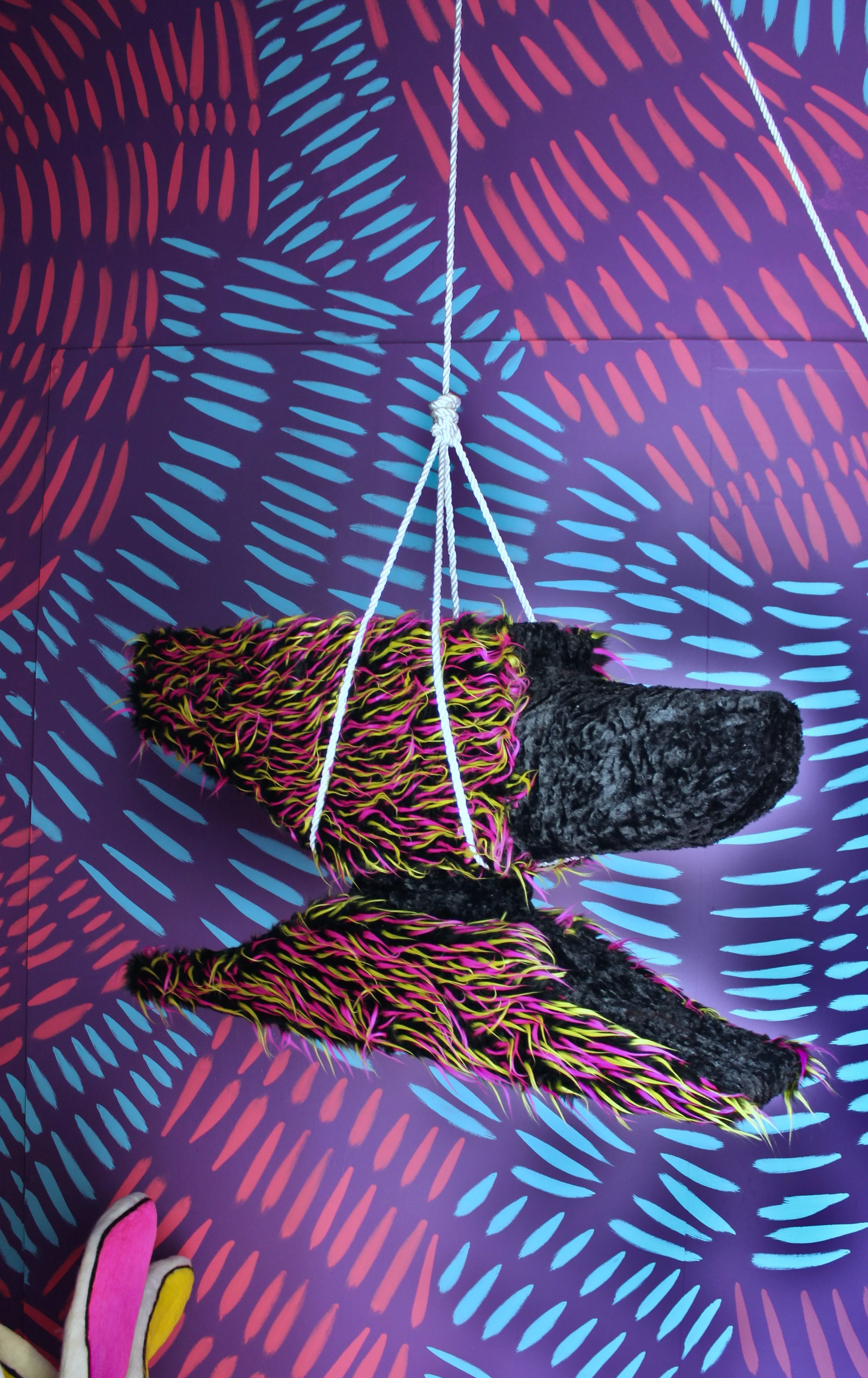 Lytle_suspended animation_tfac_3.JPG