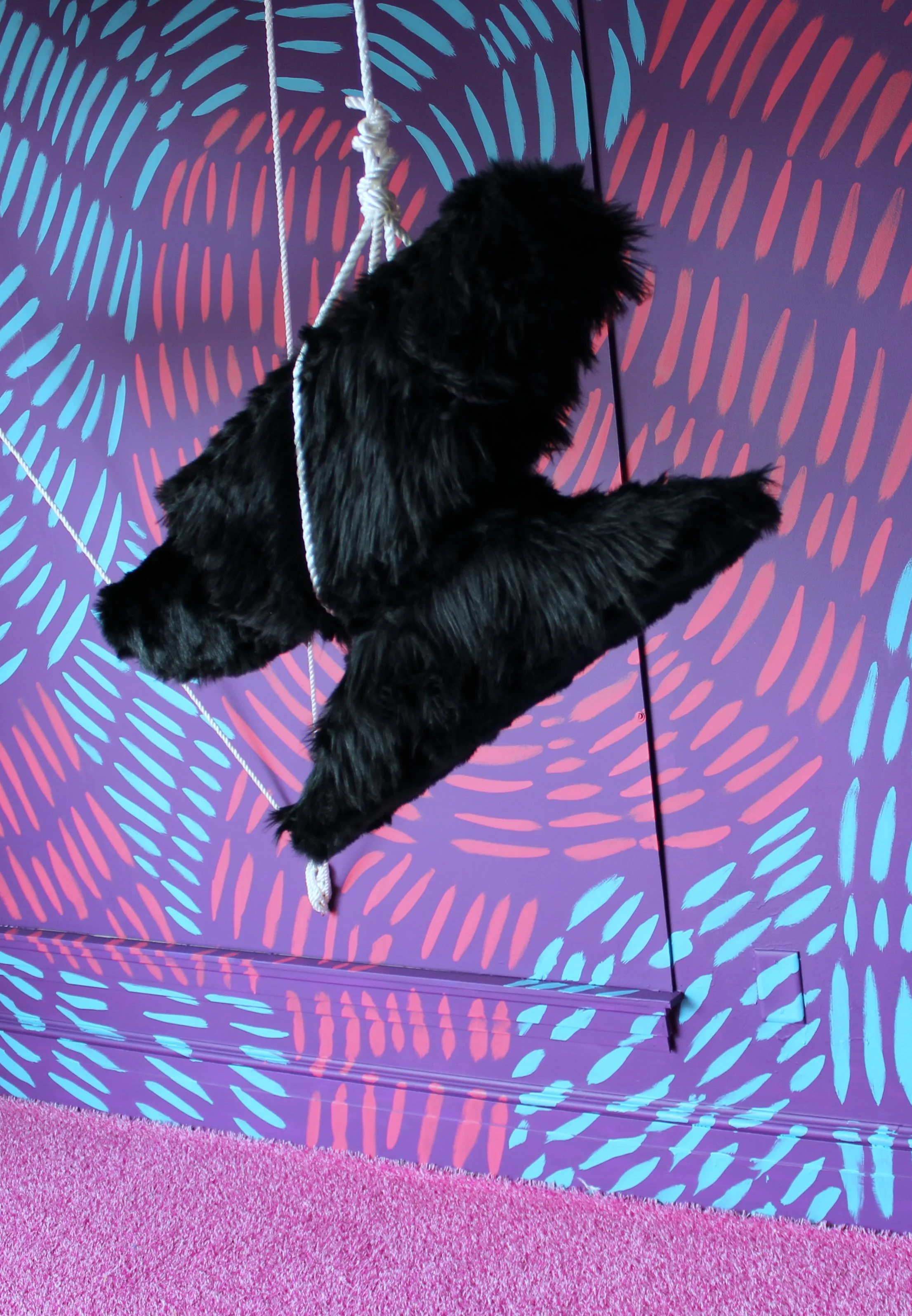 Lytle_suspended animation_tfac_7.JPG