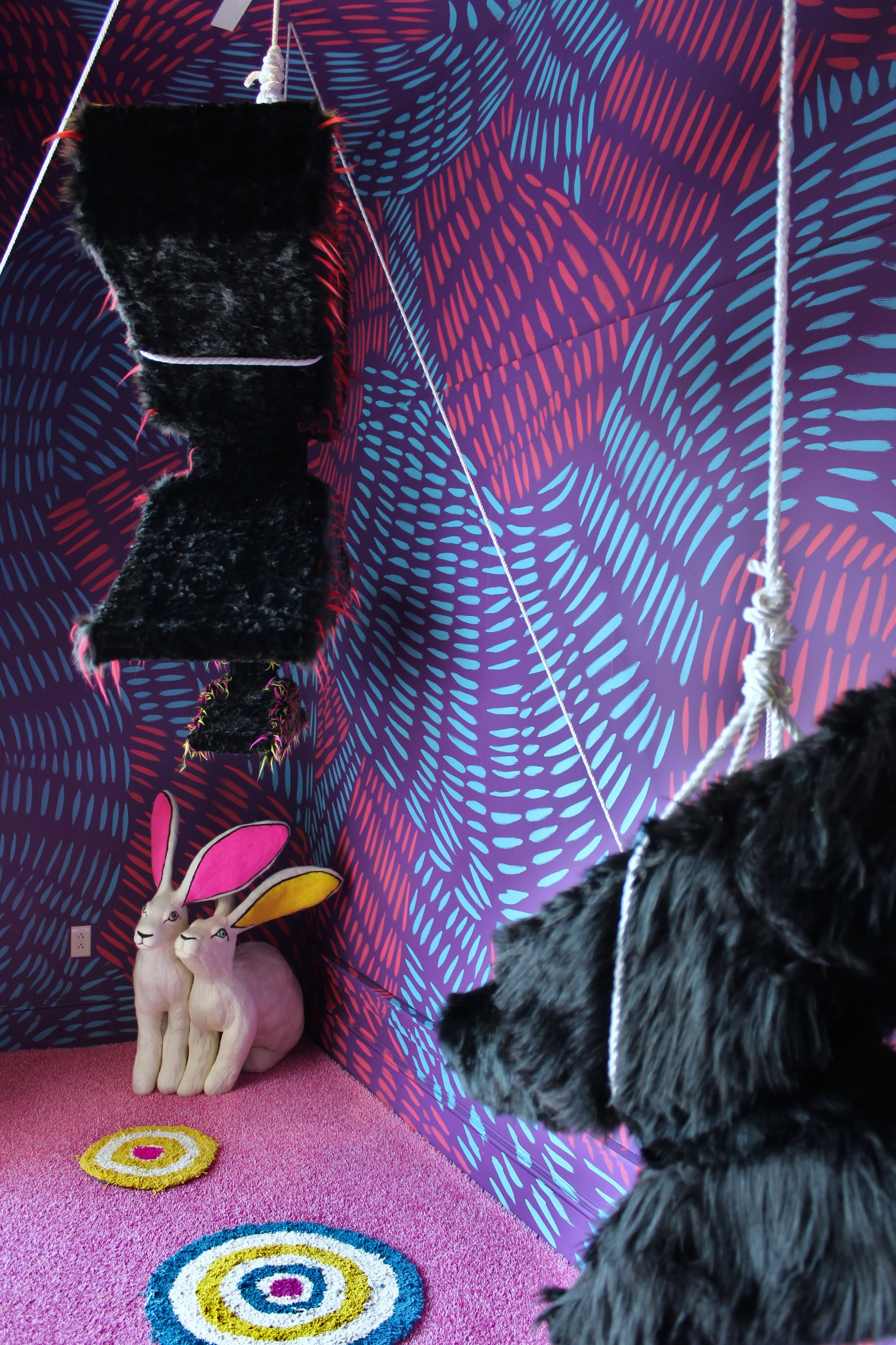 Lytle_suspended animation_tfac_8.JPG