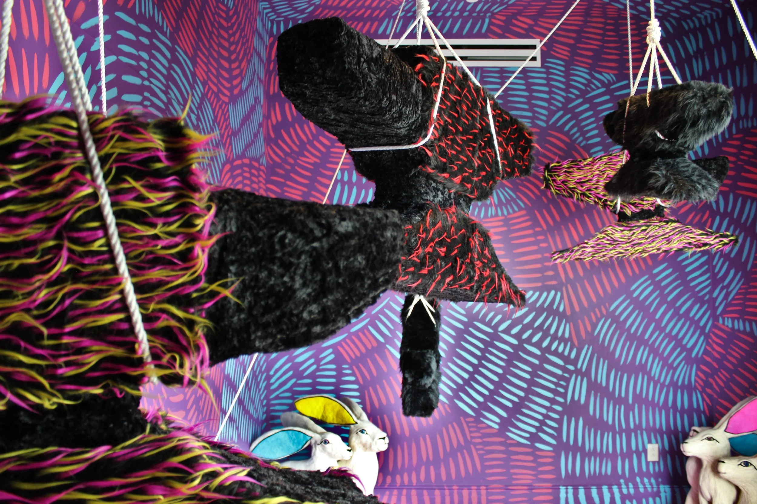 Lytle_suspended animation_tfac_10.JPG