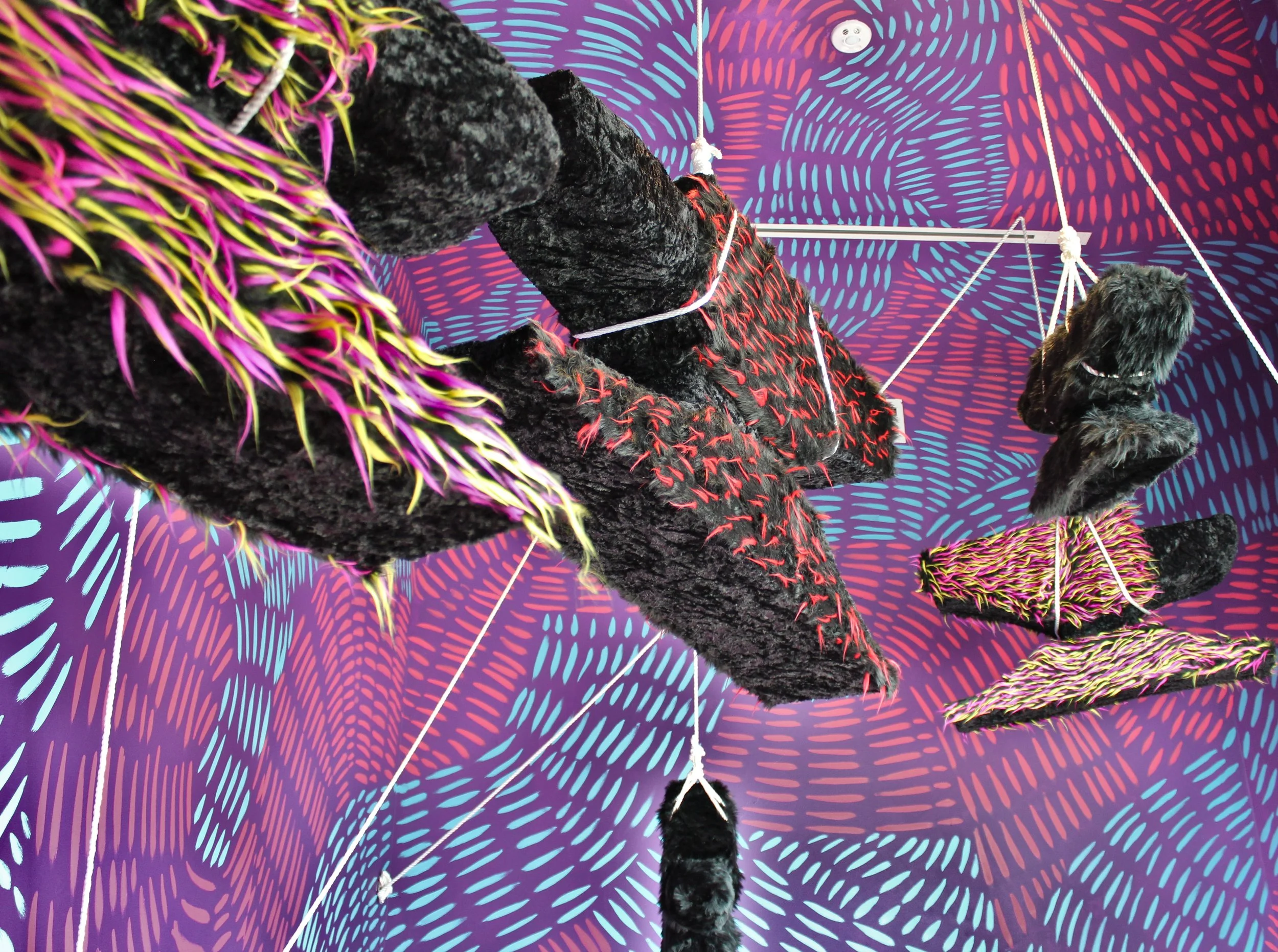 Lytle_suspended animation_tfac_11.JPG