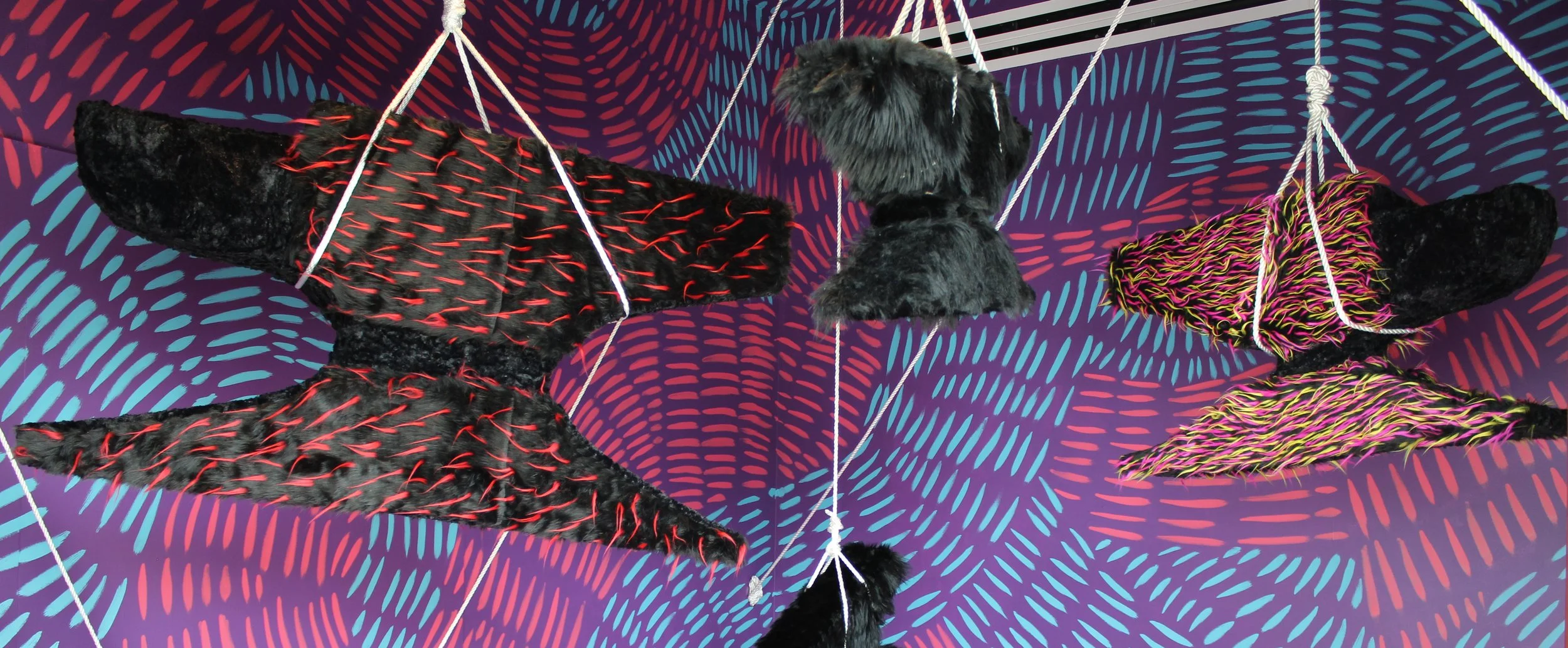 Lytle_suspended animation_tfac_13.JPG