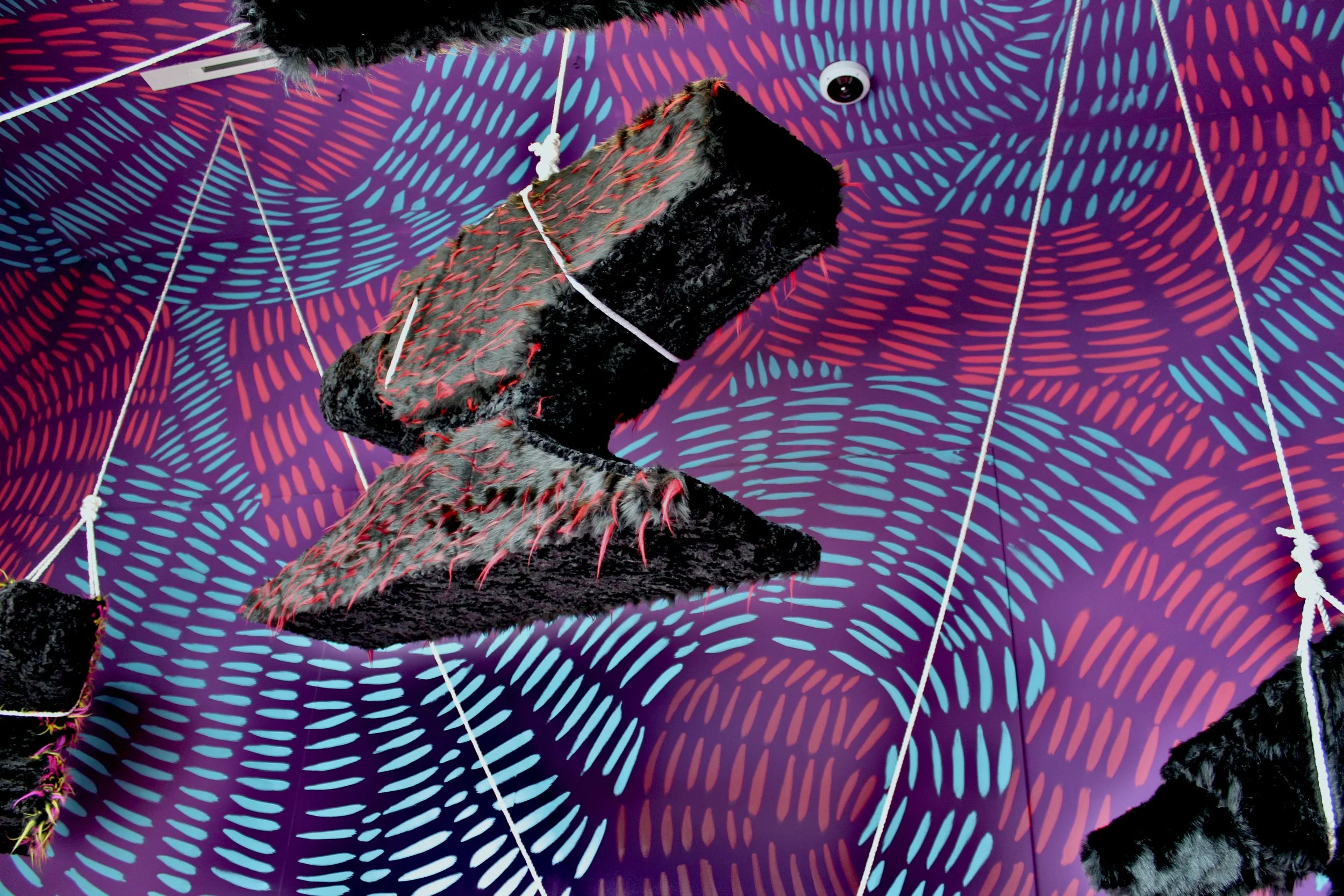 Lytle_suspended animation_tfac_14.JPG