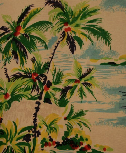 aloha shirt 2.png
