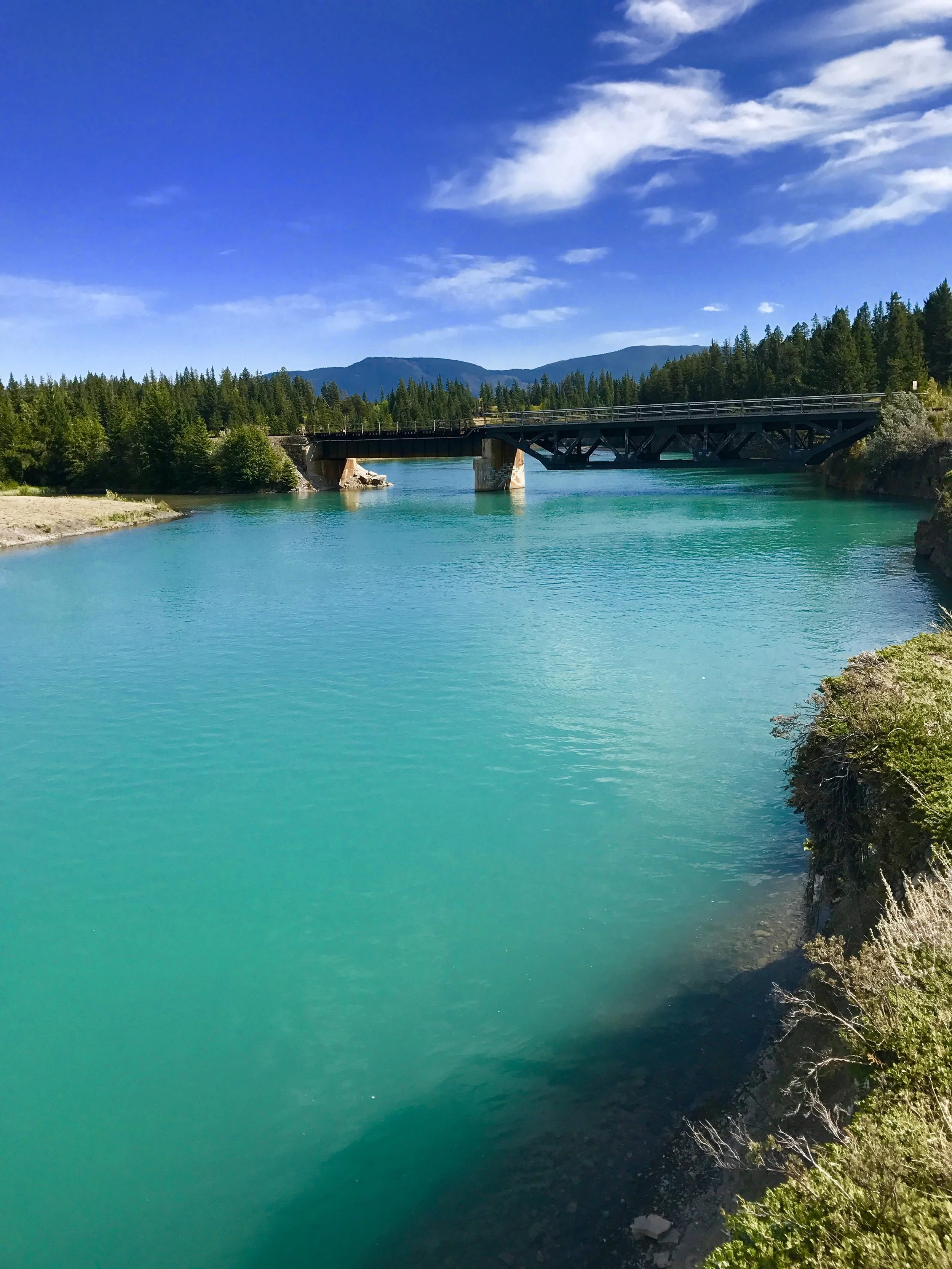 Hyped on Hydrotherapy 