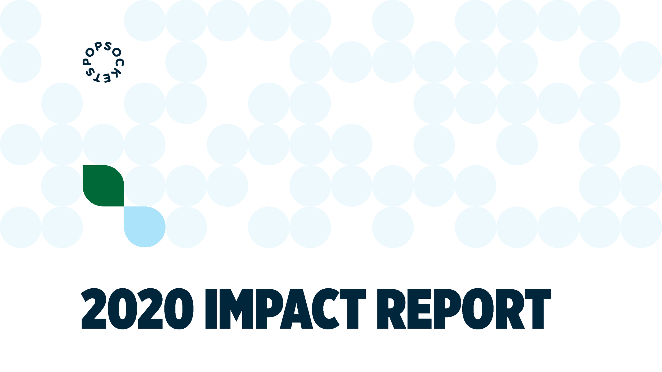 2020 Report Cover with green leaf and circles