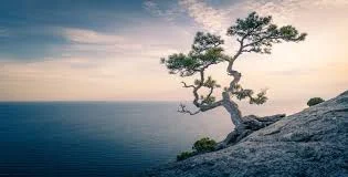 8 Week Course on Integrative Medicine