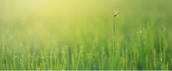 Day of Mindfulness – Silent Retreat