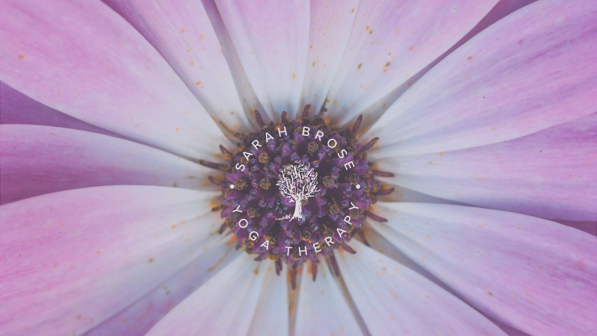 Blog Banner- Sarah Brose-3.png