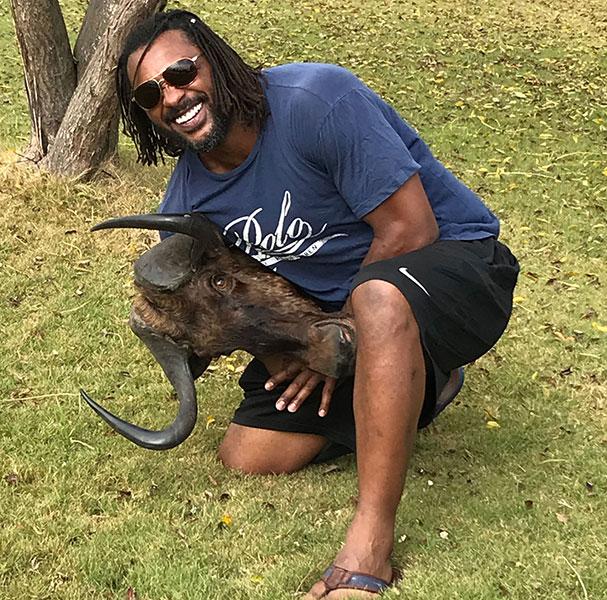 ced_skull2.jpg
