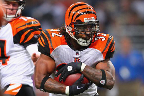 Bengals3.jpg