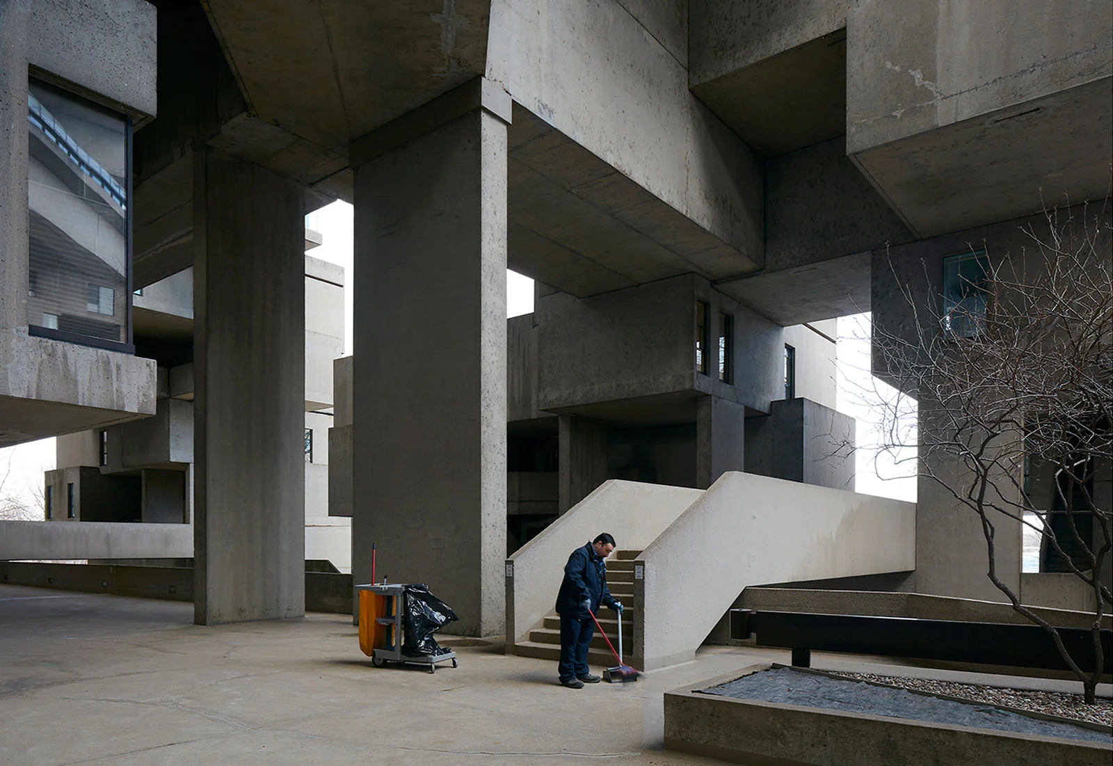 james-brittain-revisited-habitat-67-11.jpg