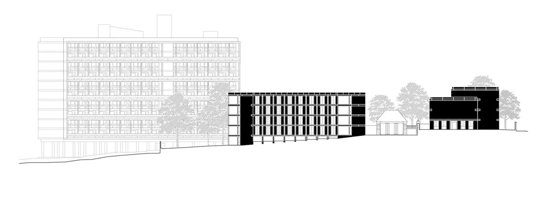 Chadwick_SiteSection2.width-2000.jpg