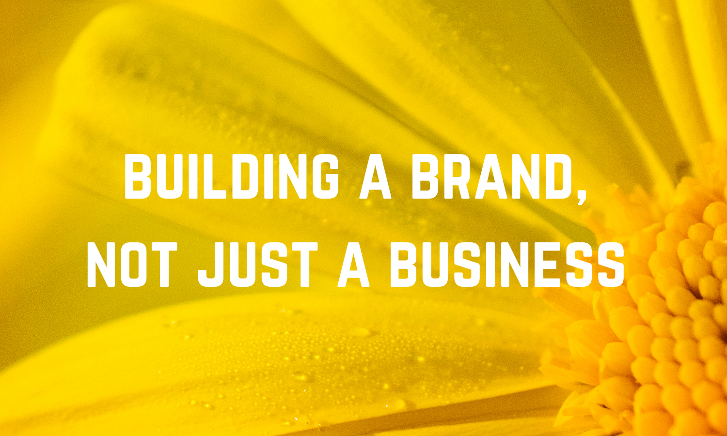 build a brand, not just a business.png