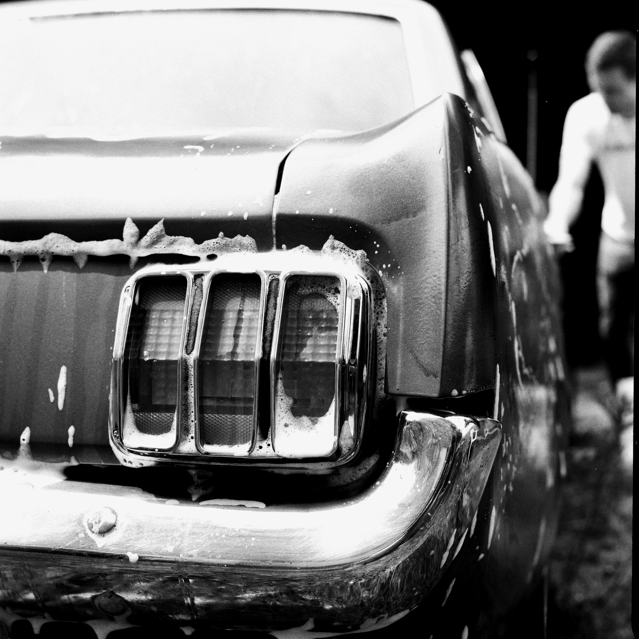 mustang 4.jpg