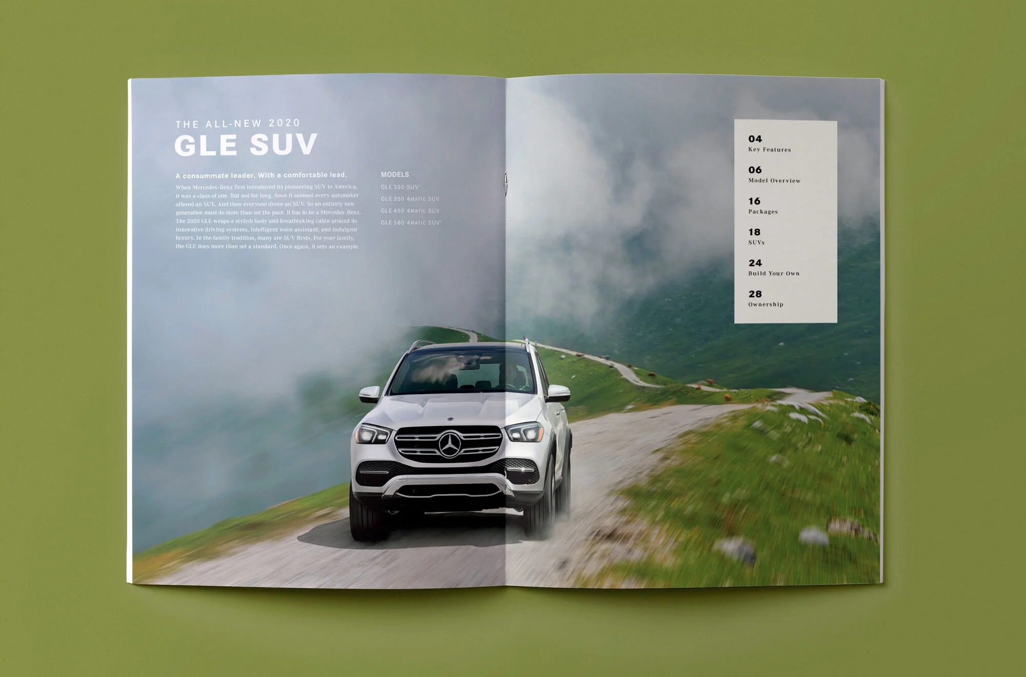 Full-spread-mock-intro.jpg