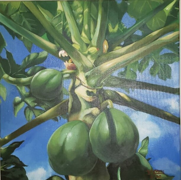 John Henry Caribbean Papaya