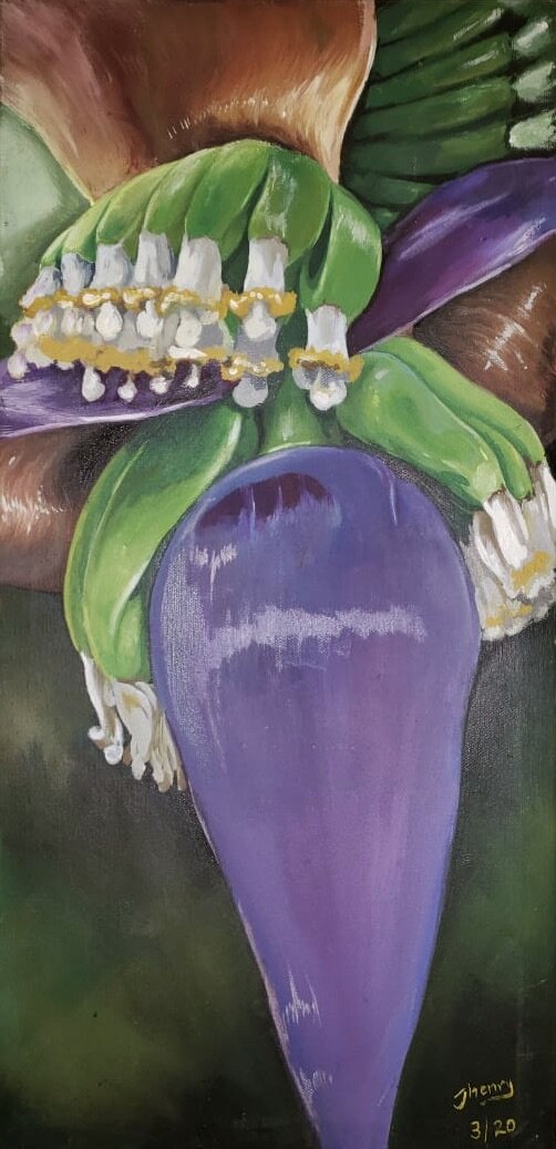 John Henry Caribbean Banana Flower 