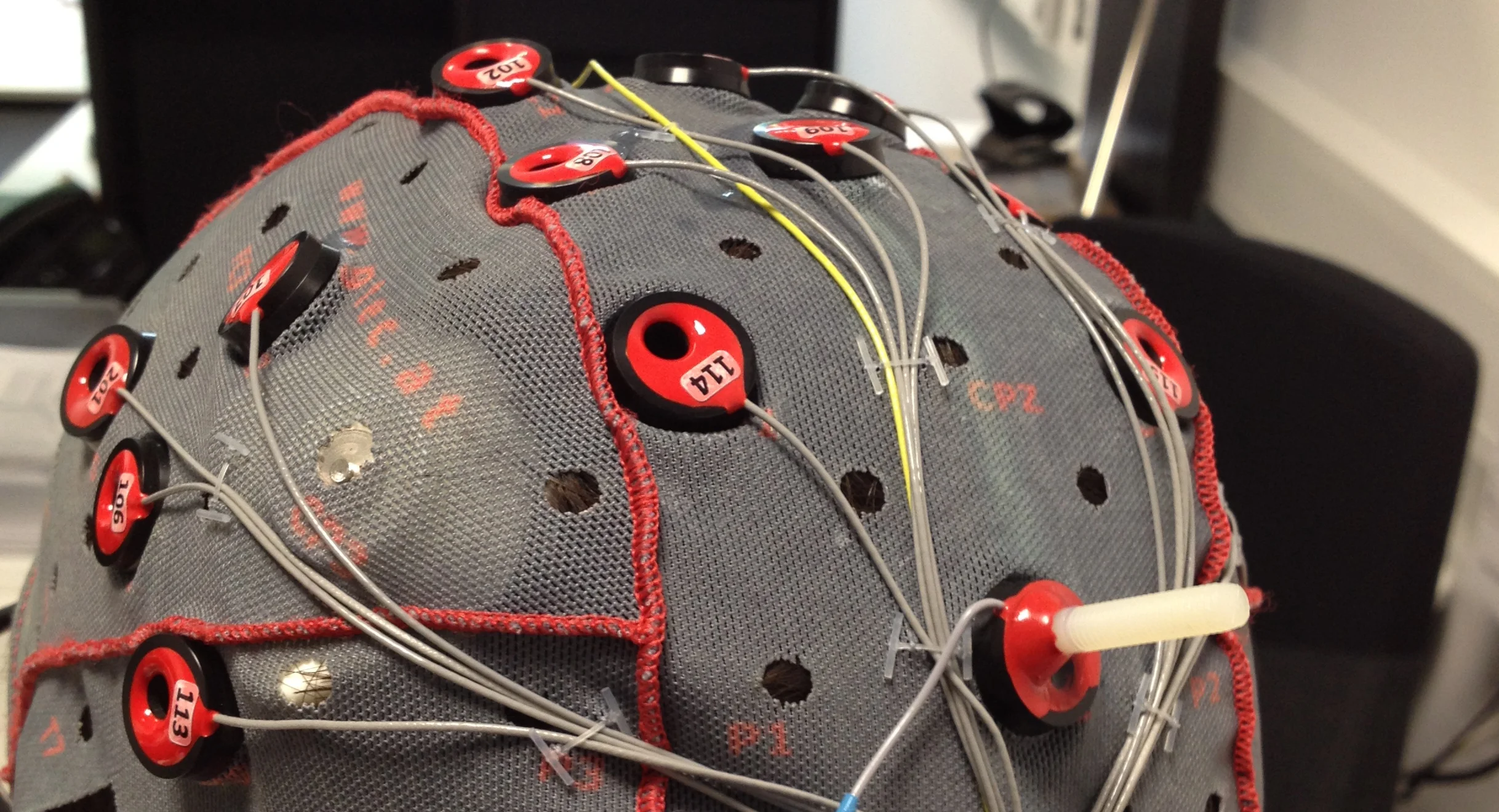 New Brain-Interface Technology is changing Neuroscience Research