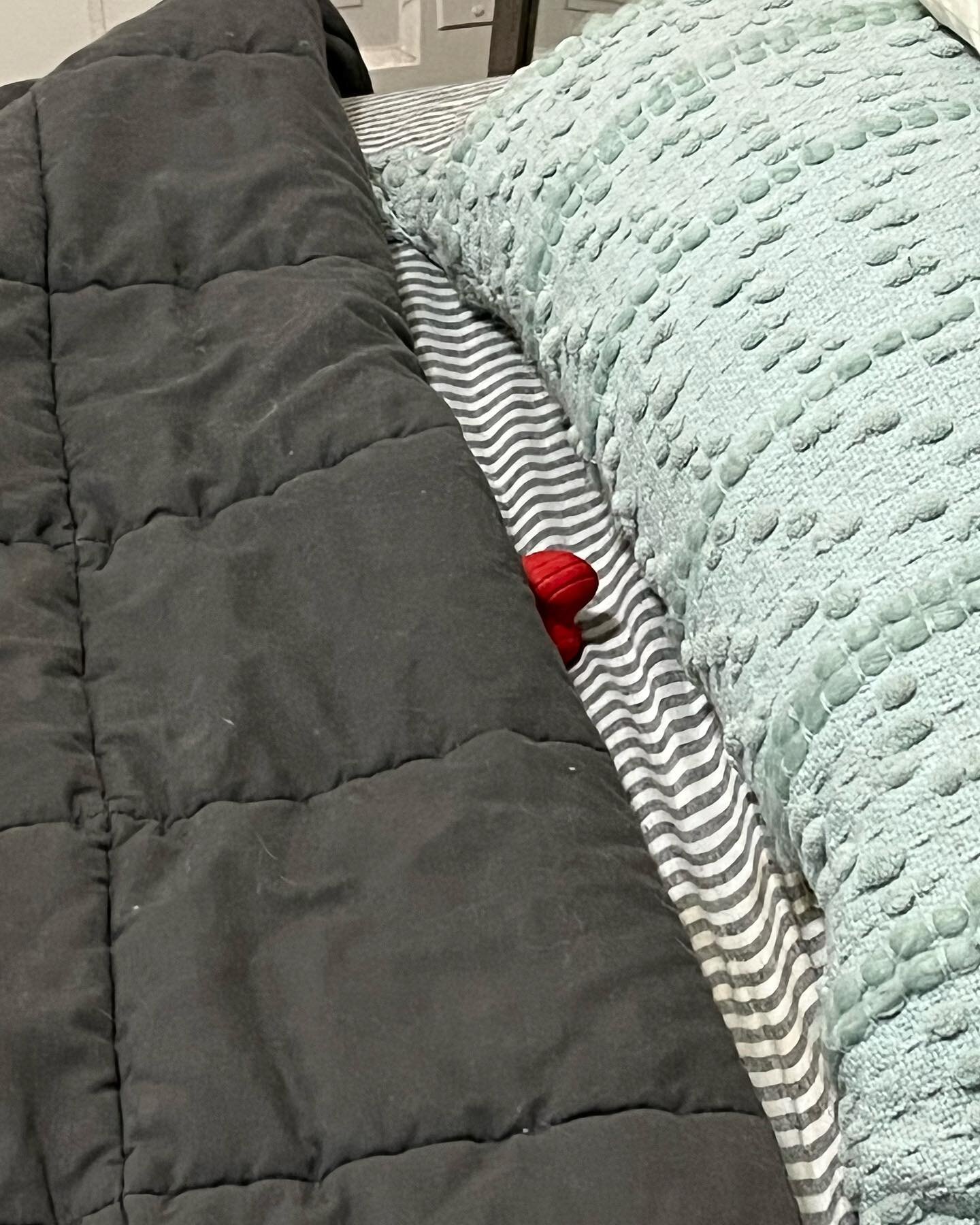 Yeah, but how did the dog toy get tucked into bed like this?