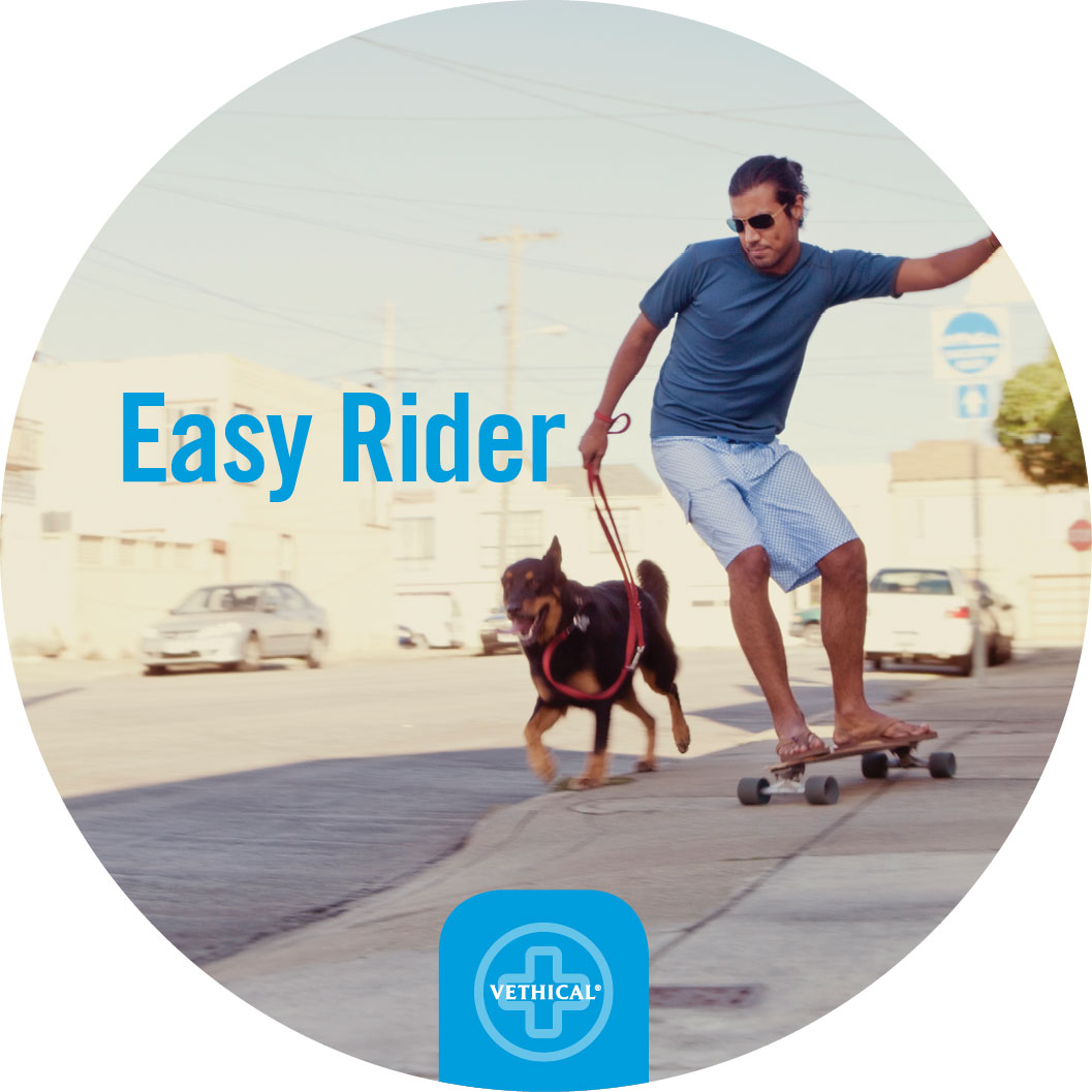 Easy-Rider.jpg