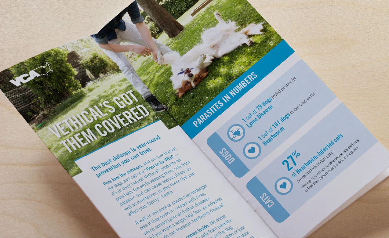 vethical-brochure-photo.jpg