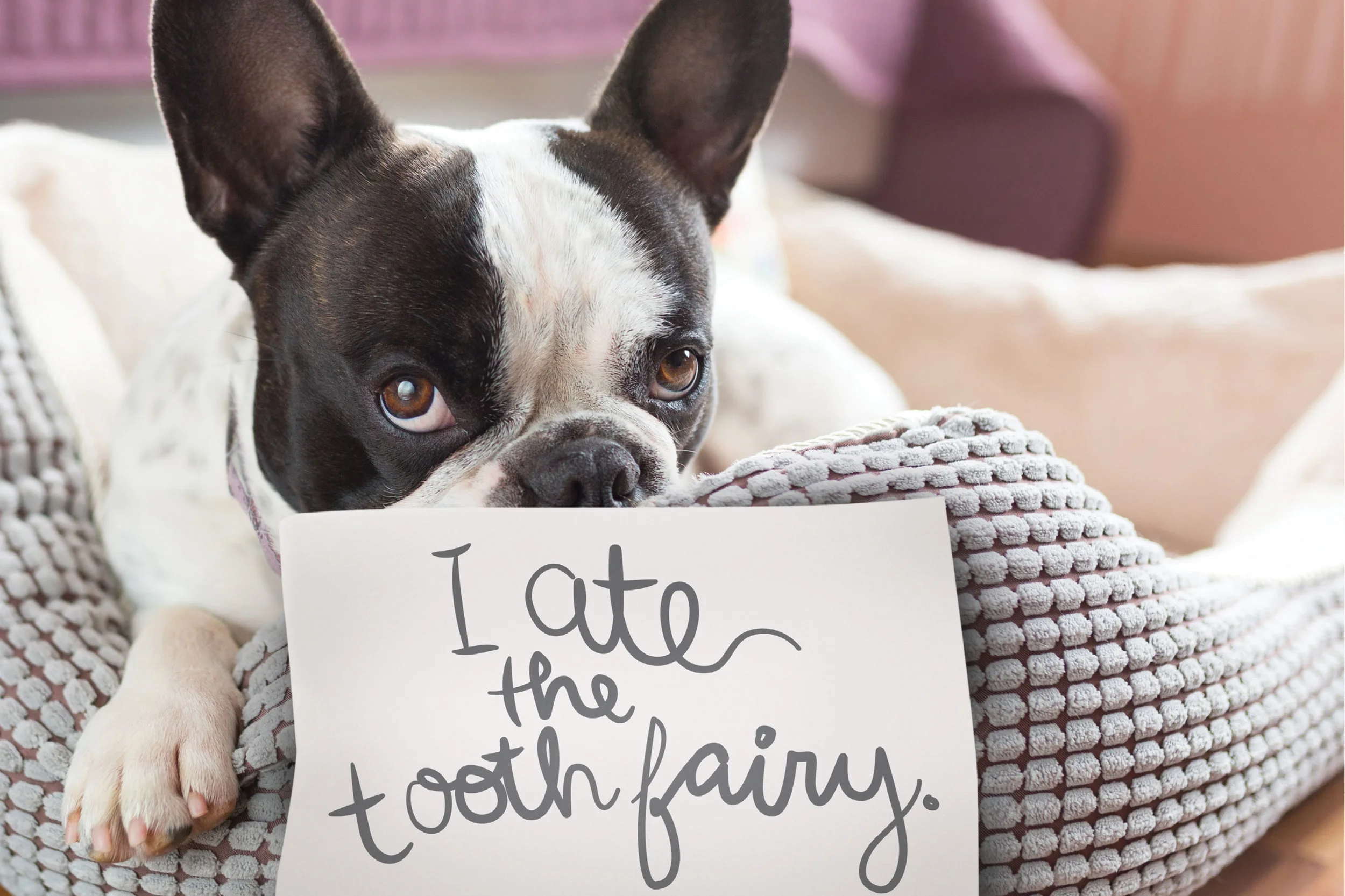 moment-of-tooth-shaming-1.jpg