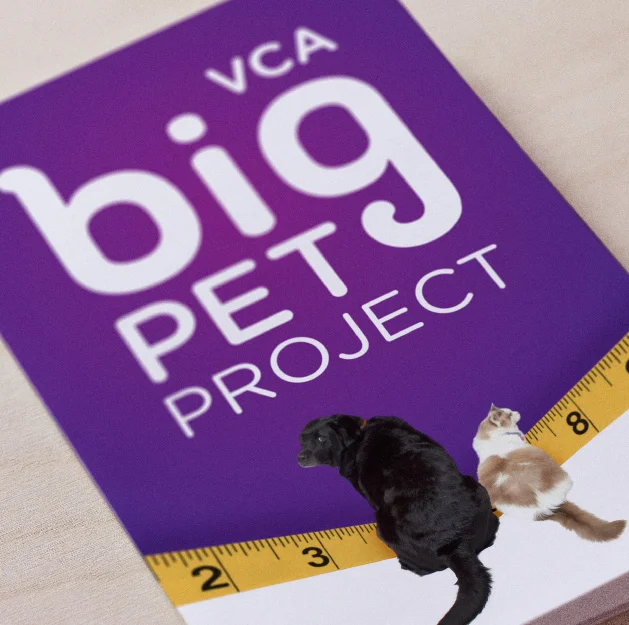 "Big Pet Project" de VCA