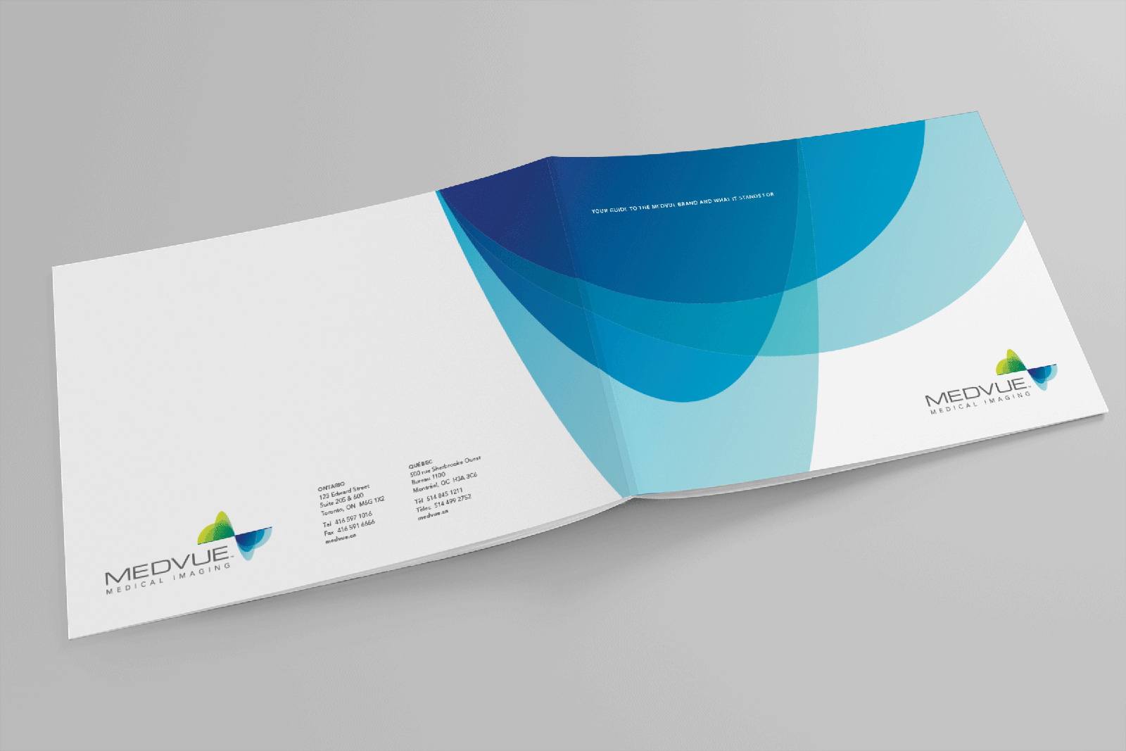 medvue-portfolio-1.jpg