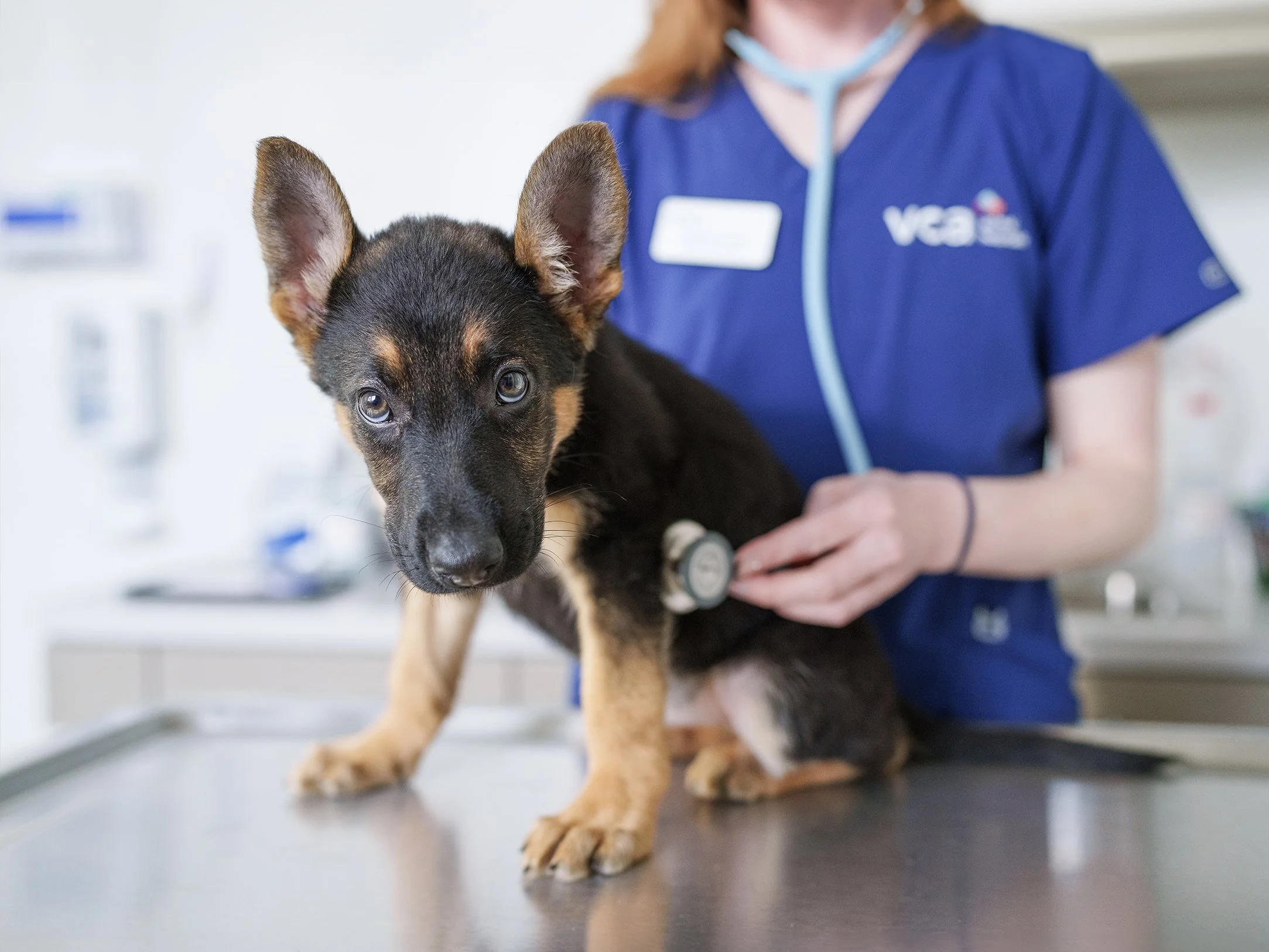 VCA Start of Life