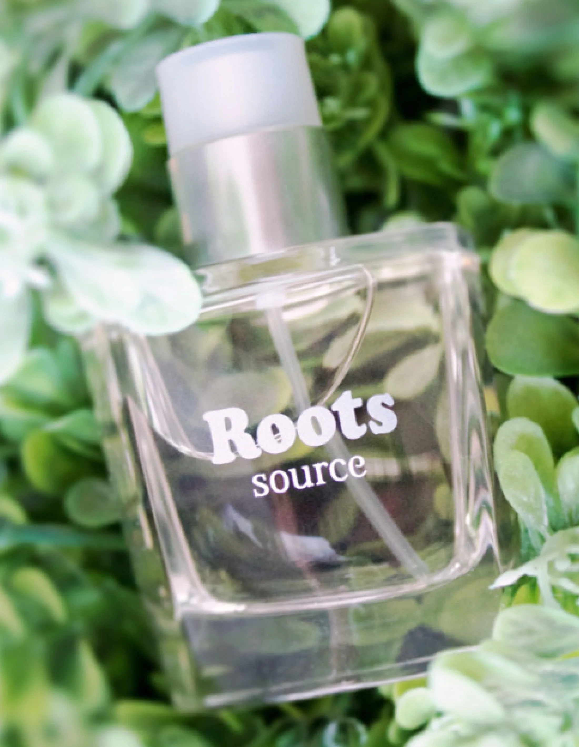 Roots Source