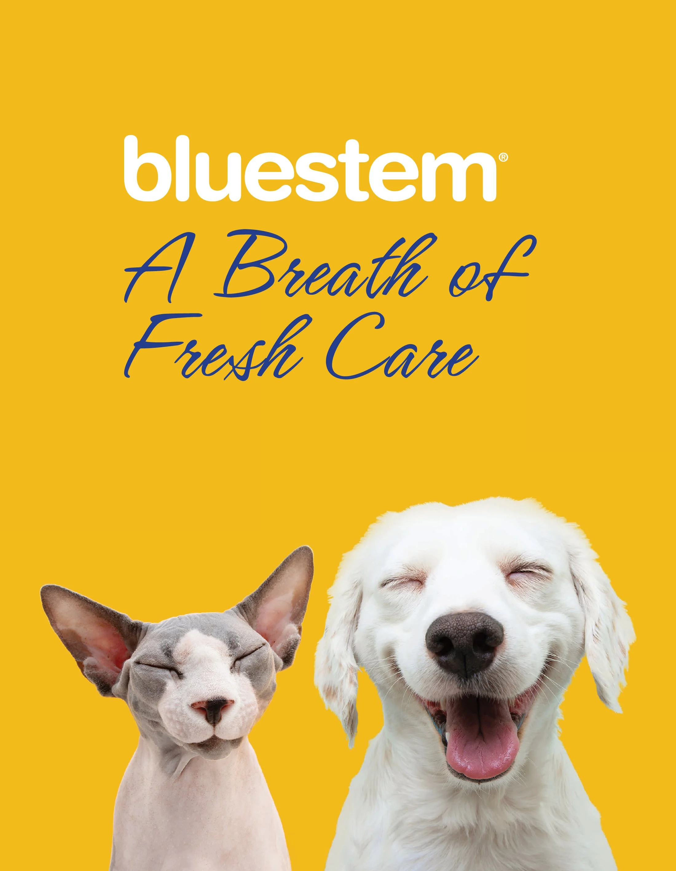 Bluestem