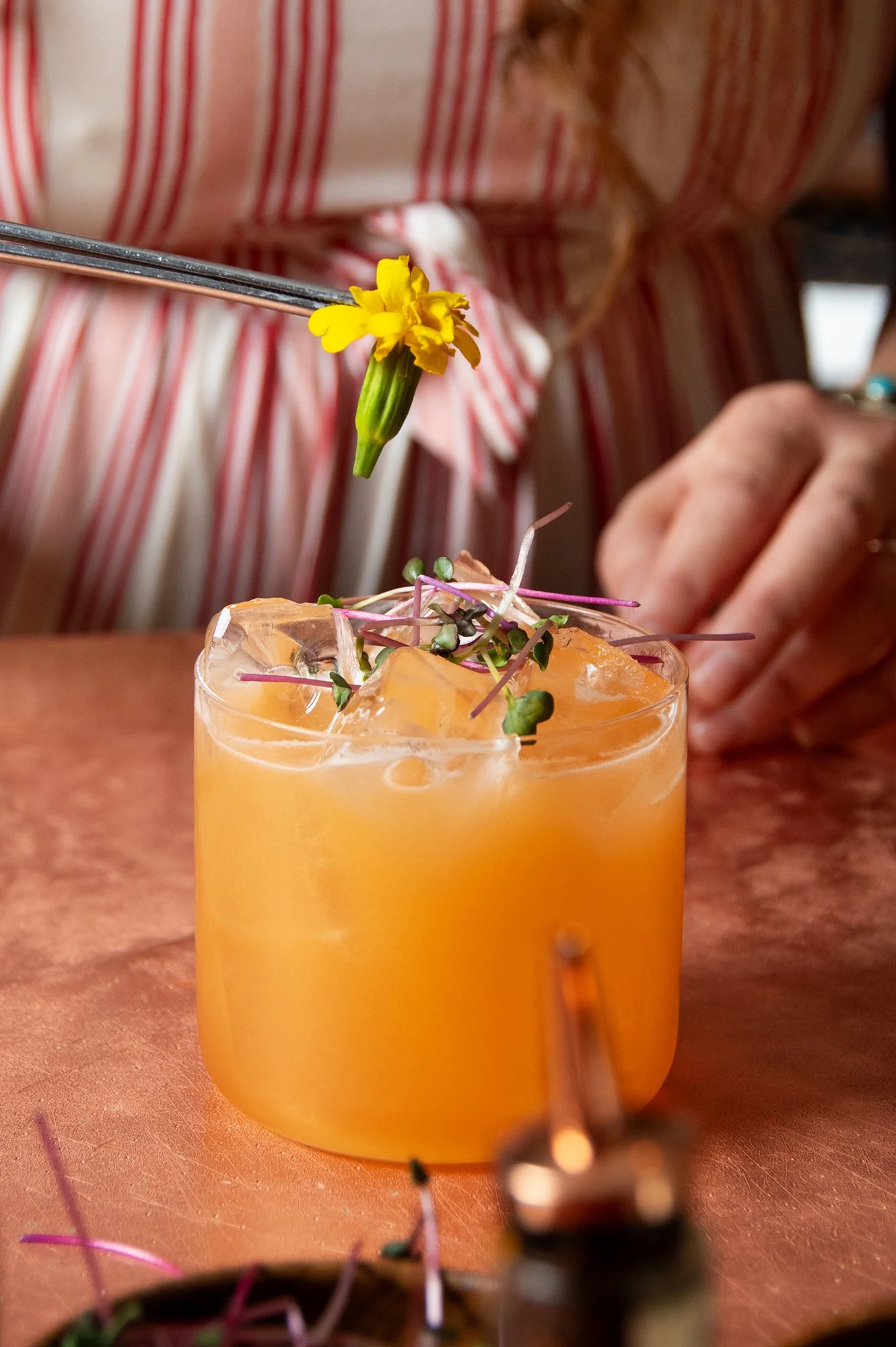 cVeronicaRiffo_EndlessSummer_GinJoint_ARS012 copy.jpg