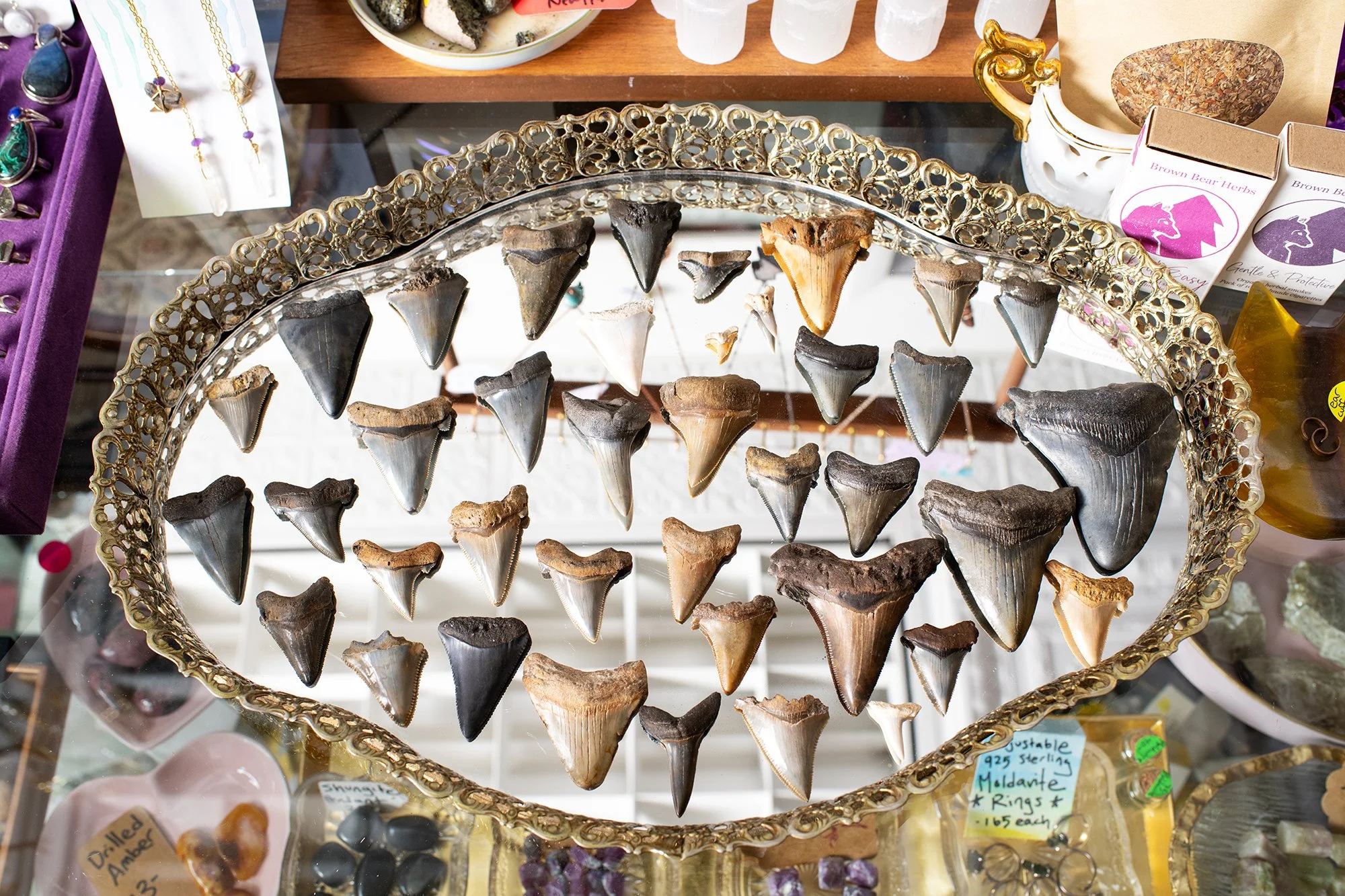 pSharkTeeth_PeachyKeen_ARS012jpg copy.jpg