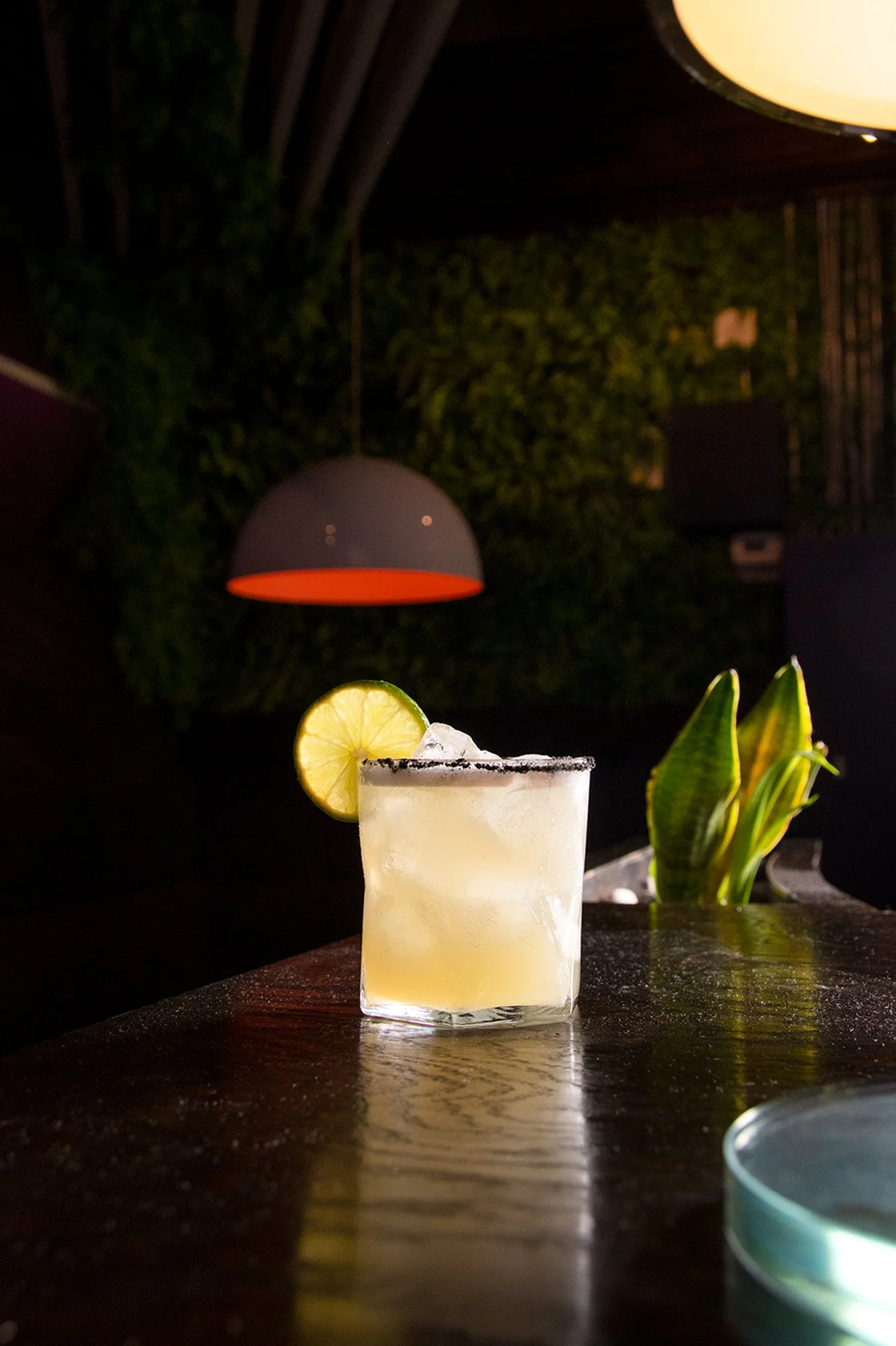 cMargarita ARS 6.jpg