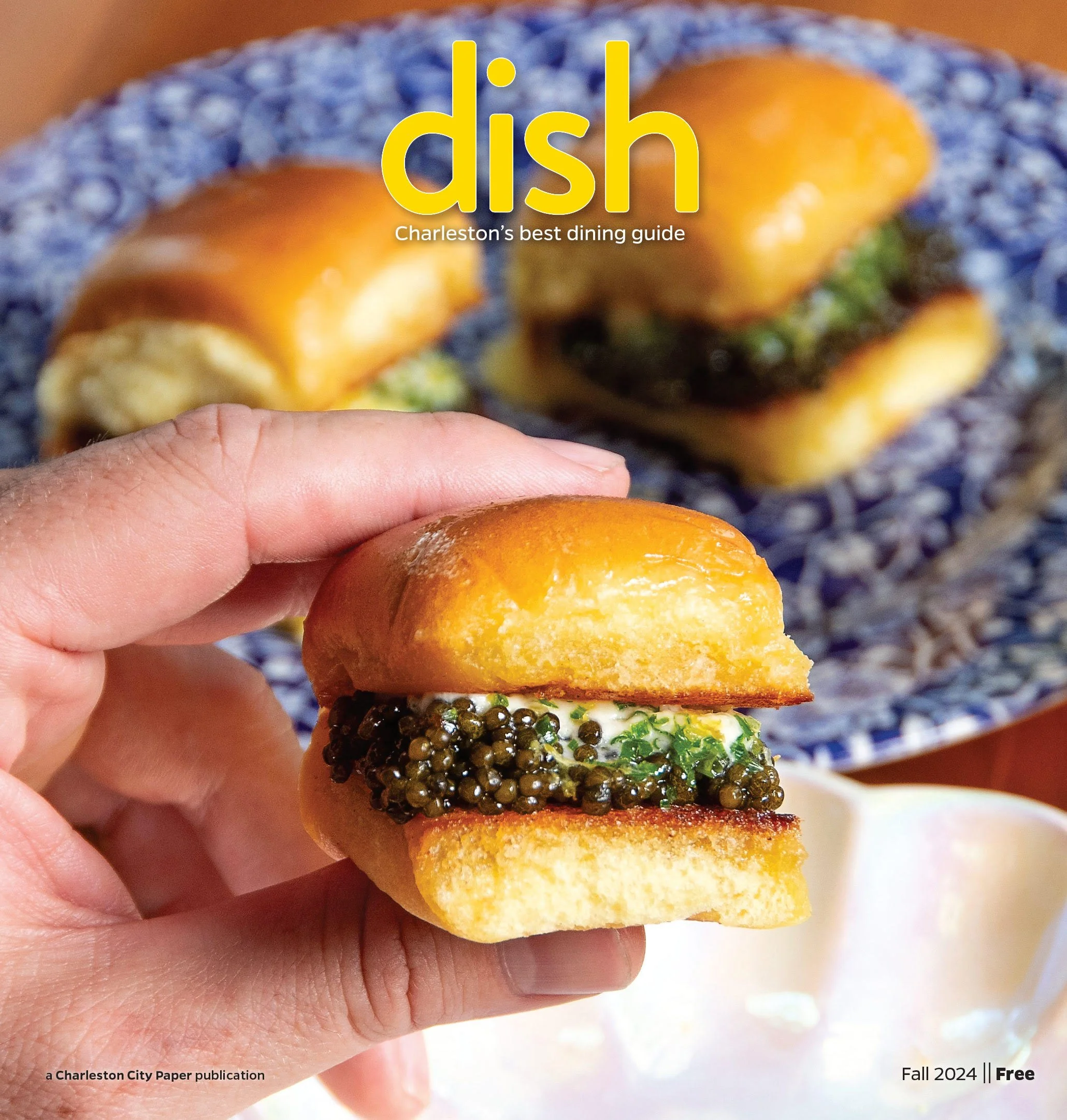 Dish Cover October 2024 01.jpg