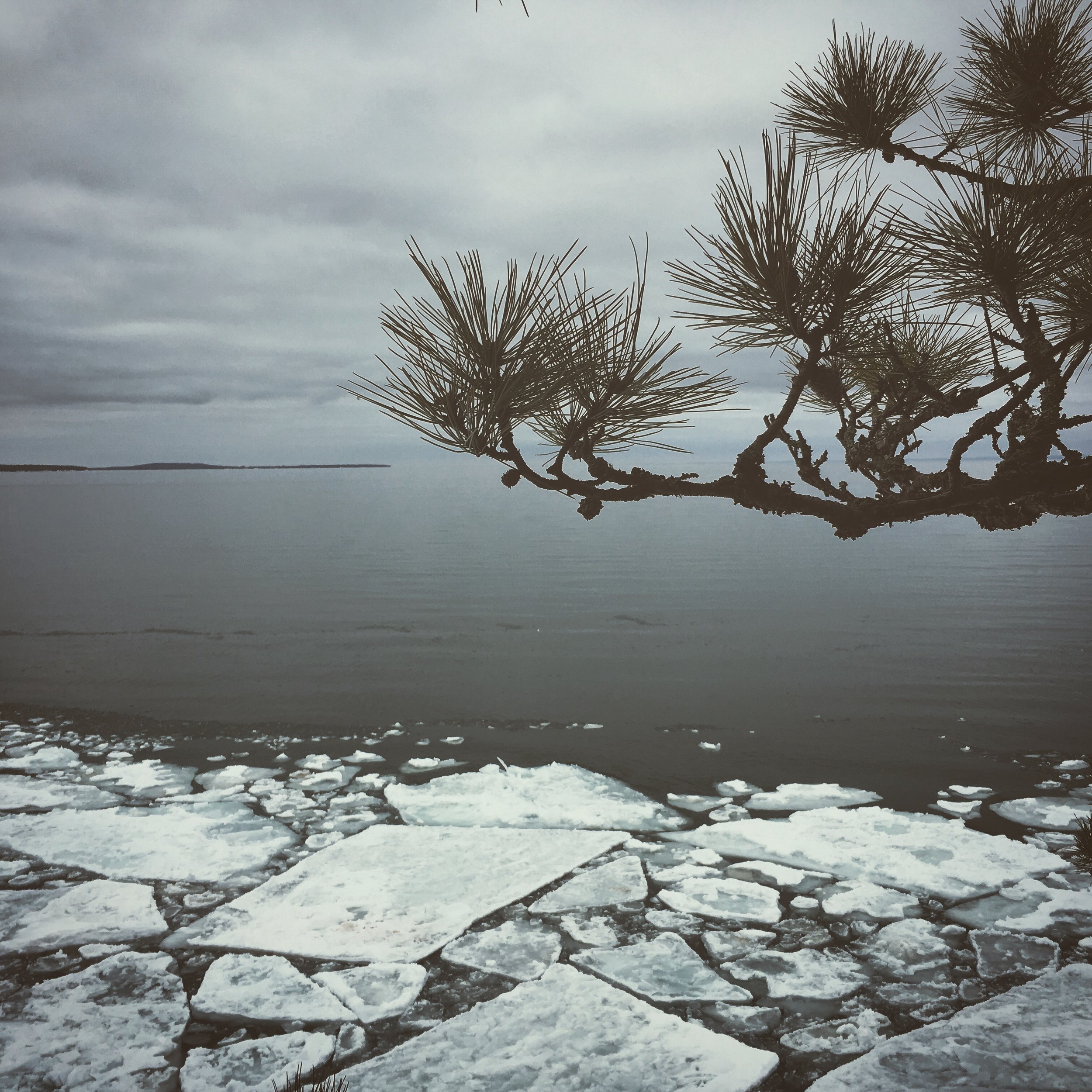 New Website and Other Announcements