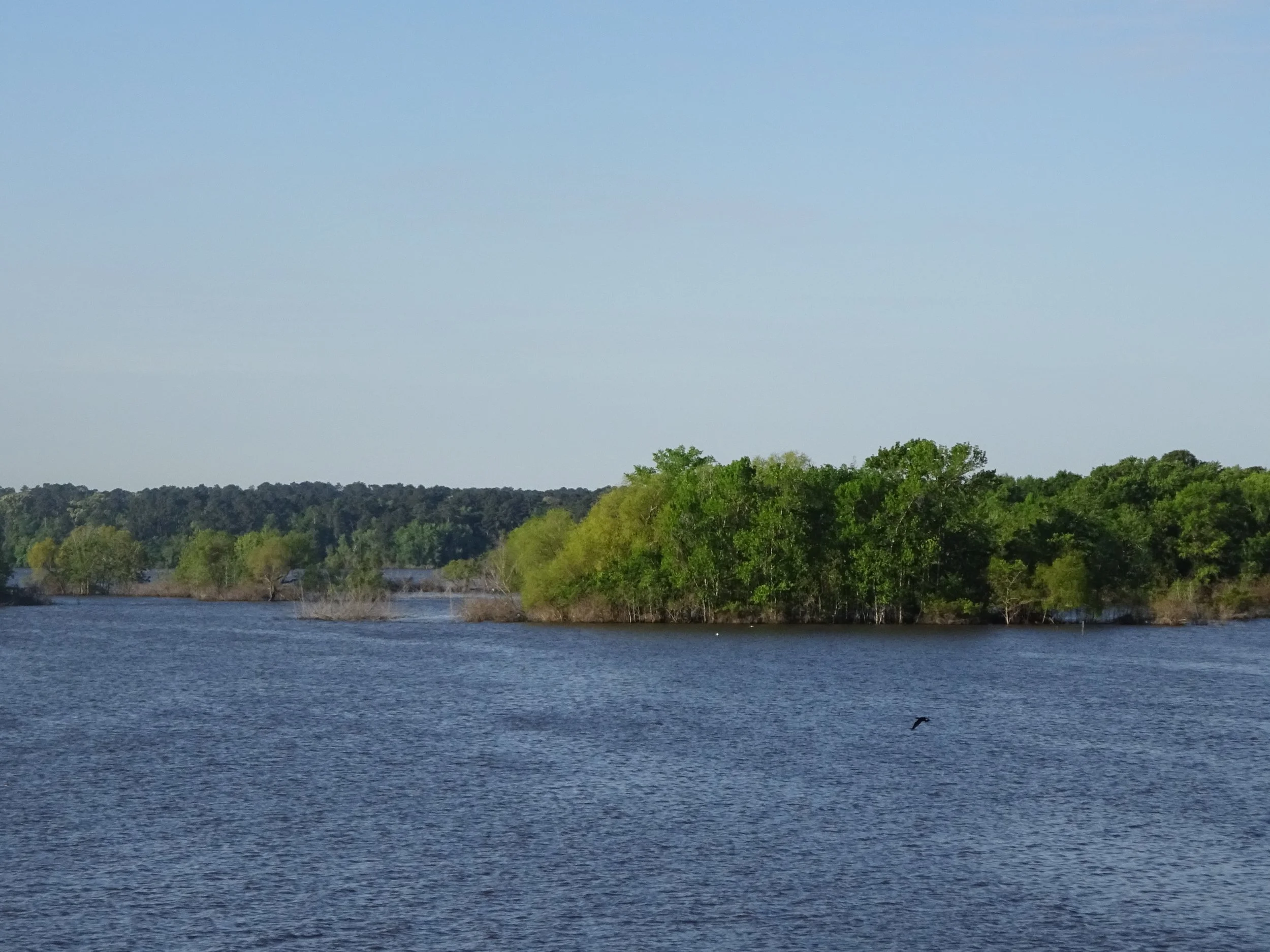 Also within the Sam Houston National Forest.