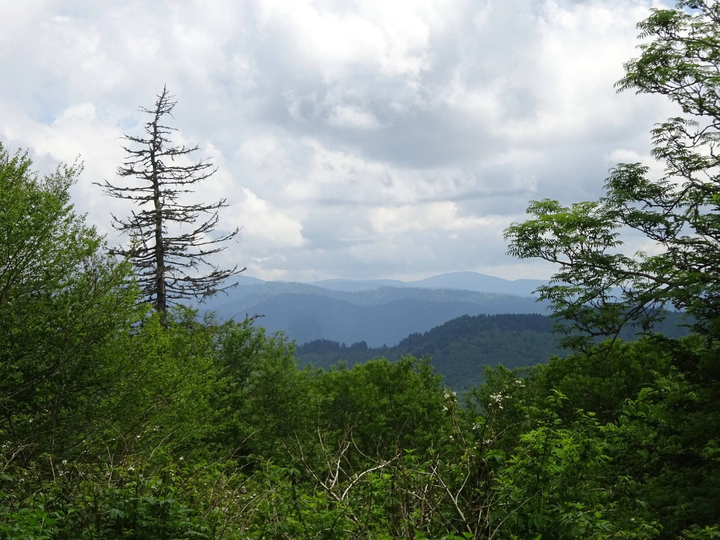 DSC08805.JPG