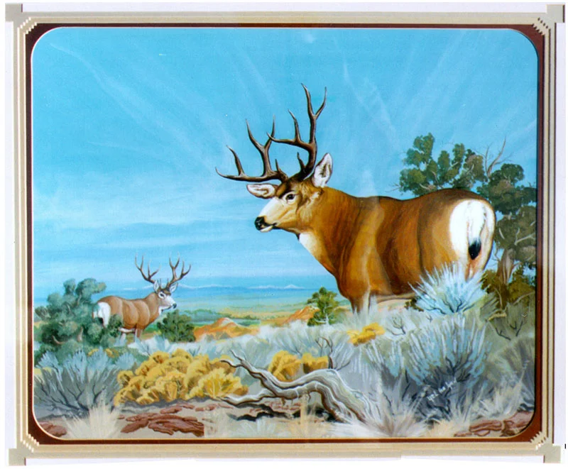  Circa 1982. Two impressive mule deer stand on the foothills of Lukachukai Mountain looking across Red Valley and toward the distant San Juan Mountains of Colorado. This landscape was a familiar sight to Charles lee, who grew up herding sheep up and 