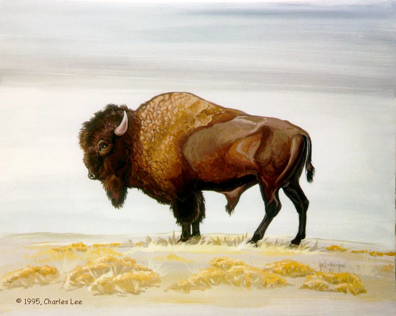  Though buffalo no longer grace the four corners landscape, this painting hearkens back to a bygone era. The yellow clusters are likely either rabbit brush or stylized clumps of grass, so familiar to the high desert.   1995 