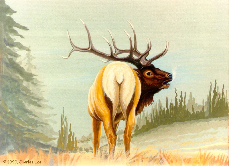  No one loved Elk quite like Charles Lee, who frequently vacationed in Southern Colorado.  1990 
