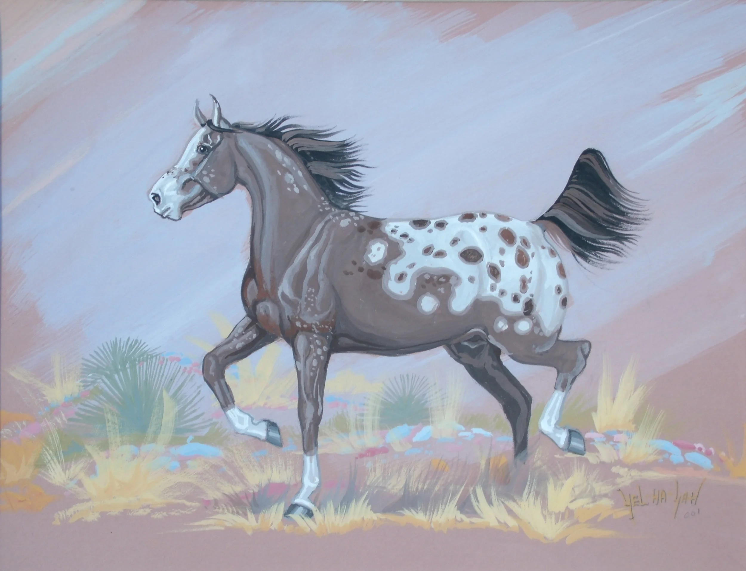 Appaloosa3.JPG