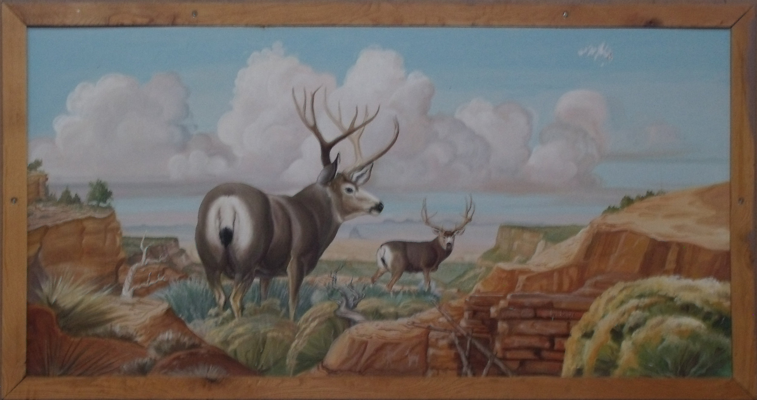 SHS-MuleDeer.jpg