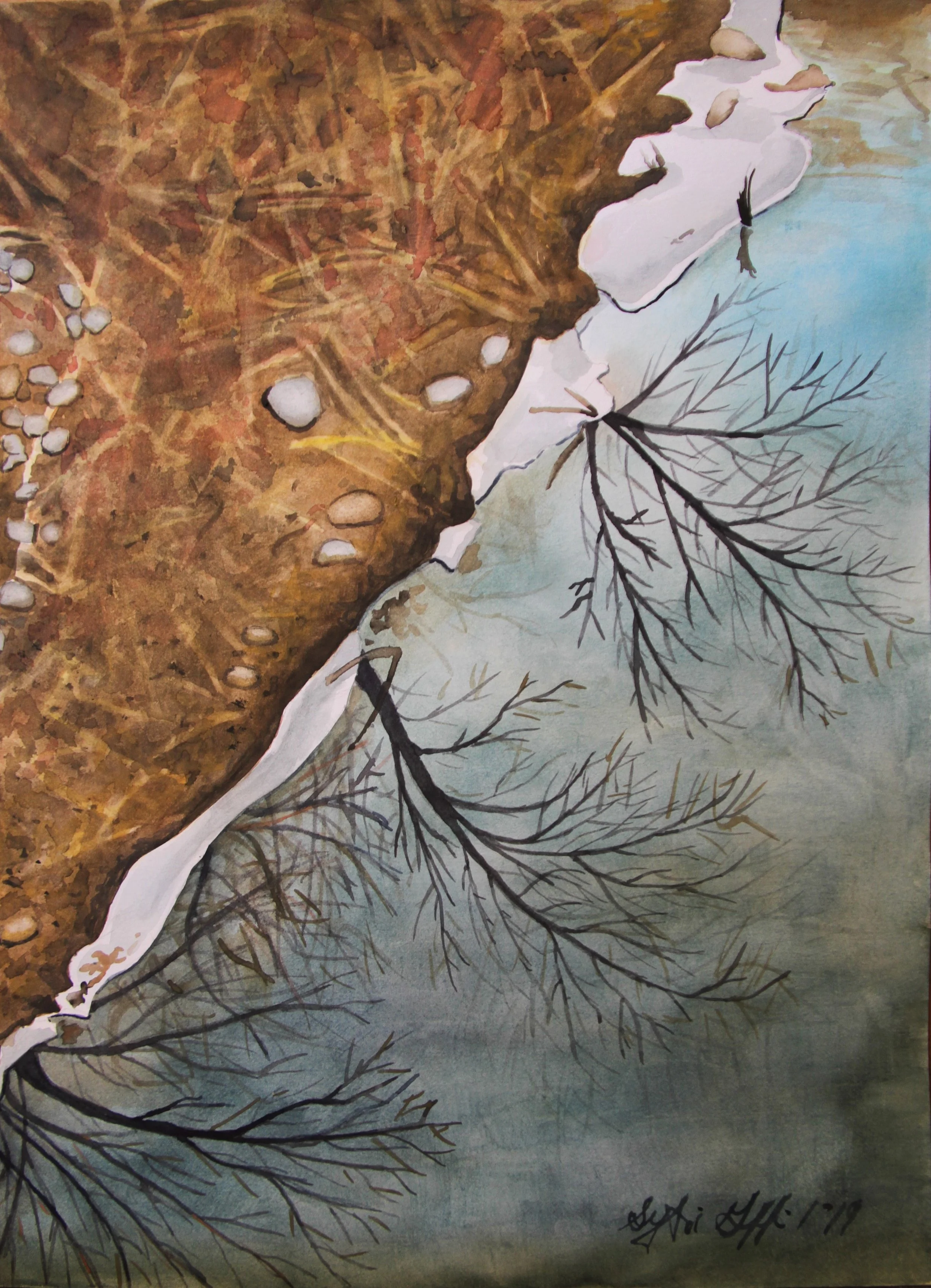 Shoreline Reflections