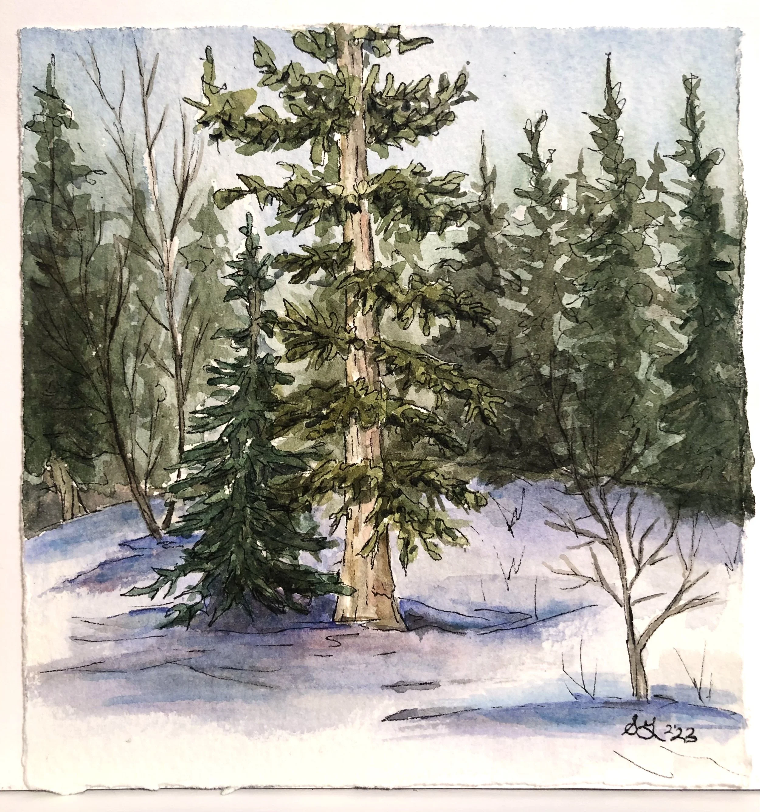 The Prince & The Shepherd