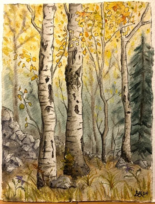 aspens.jfif