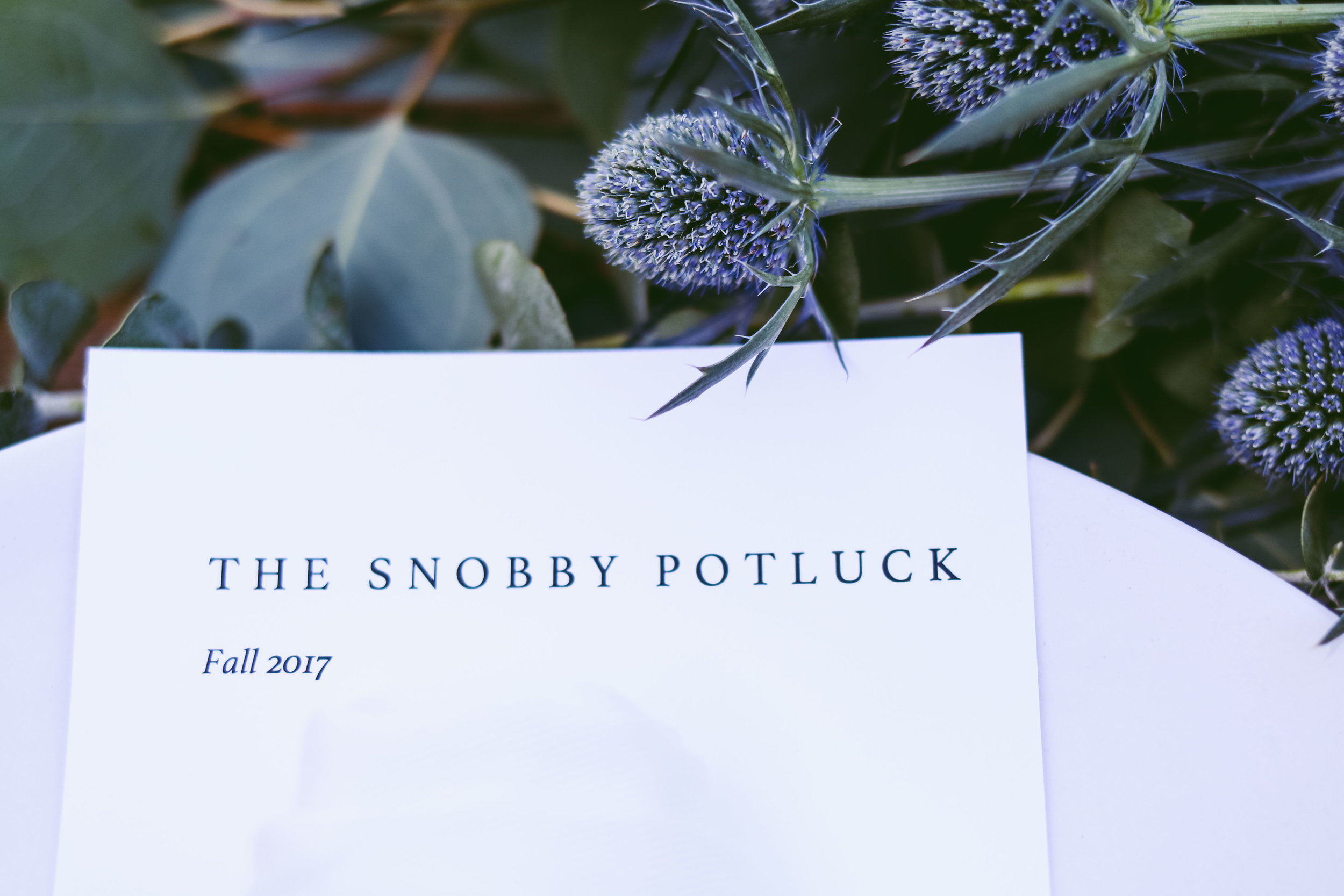 Snobby Potluck-19.jpg